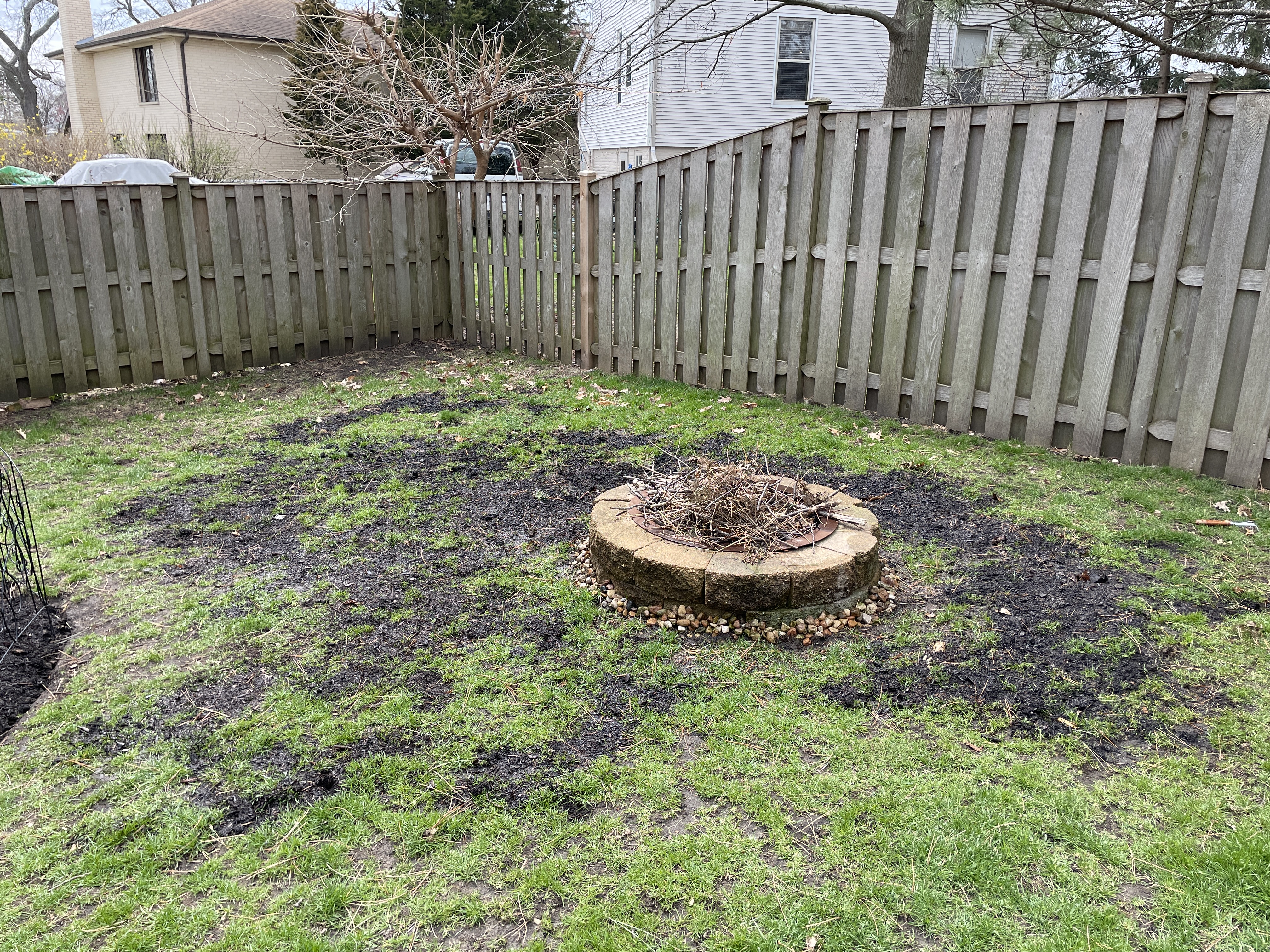 Garden Fae Visit before